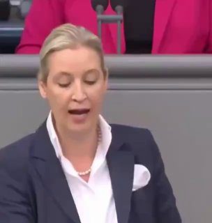 Az „Alternatíva Németországnak” elnöke , Alice Weidel megjegyezte, milyen magas...