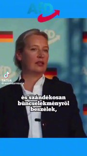 AFD - Hogy lehetséges hogy a német kormány legnagyobb problémája a gyerekek nem...