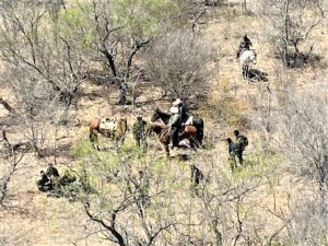 brackettville station horse patrol unit apprehends migrants on ranch