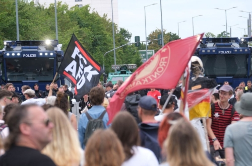 AfD1