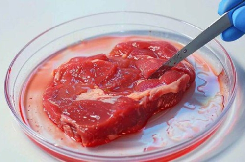 Florida betiltja a mesterséges hústRon DeSantis floridai kormányzó aláírta azt a...