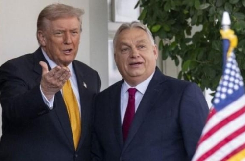 Image_12_d7af0ba467e34a149229ff70b1194522