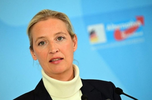 alice-weidel