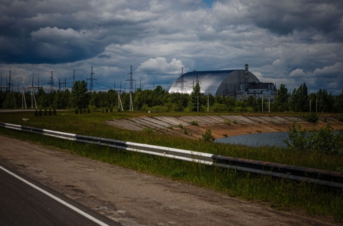 illegális termesztés