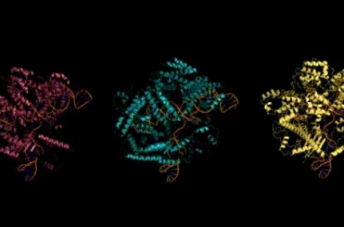 mi virus