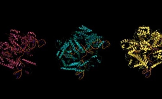 mi virus