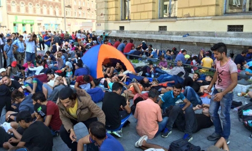 migransok-1763294369