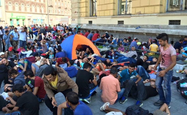 migransok-1763294369