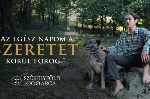 szekelyfold