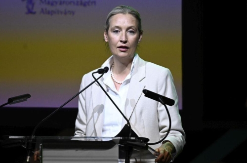 weidel